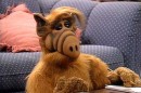 Alf «Alf» Vai Chegar Ao Cinema