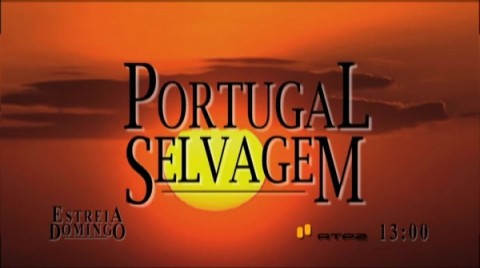 Est Portugal Selvagem C2 39 0001 Estreia No Próximo Domingo &Quot;Portugal Selvagem&Quot; Na Rtp2