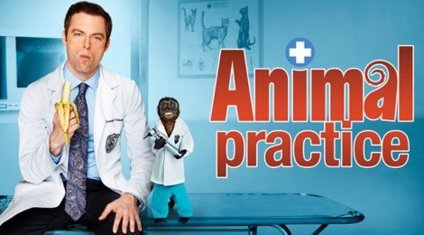 Animal Practice «Animal Practice» Cancelada