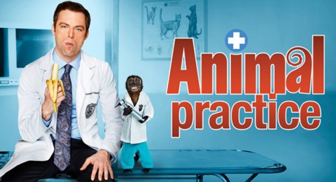Animal Practice «Animal Practice» Cancelada