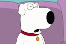 Brain Family Guy «Brian» Regressa A «Family Guy»