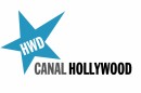 Logo Hollywood Canal Hollywood Celebra Dia De São Valentim