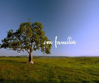 Em Família Logotipo Oficial Estreia De «Em Família» Lidera Com A Concorrência Por Perto