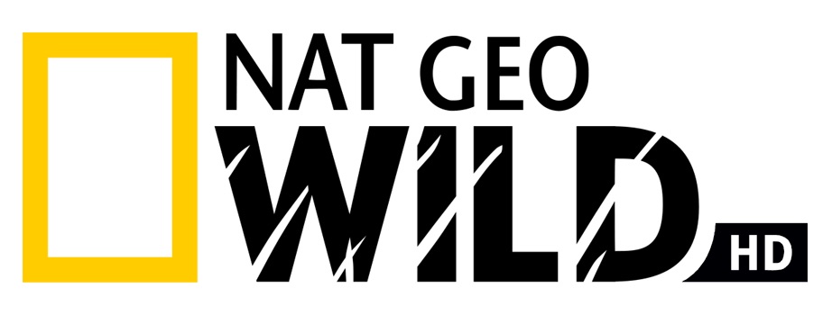 Nat Geo Wild «Big Cat Week» No Nat Geo Wild