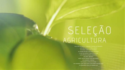 Selecao Agricultura1 Novo Programa Da Sic Notícias Mostra Nova Geração Da Agricultura