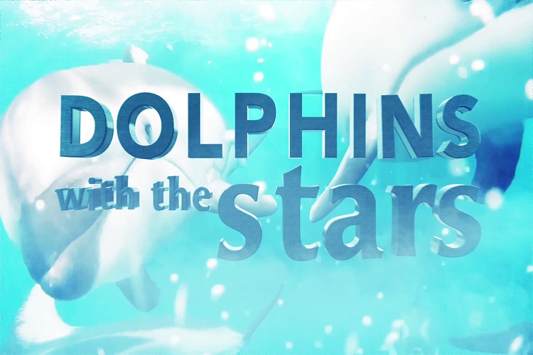 Dolphins With The Stars Sic Define Data De Estreia Para O Sucessor De «Shark Tank»