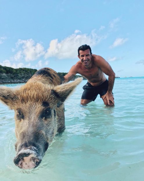 luis figo 1 Inédito. Luís Figo toma banho com porcos durante férias nas Bahamas