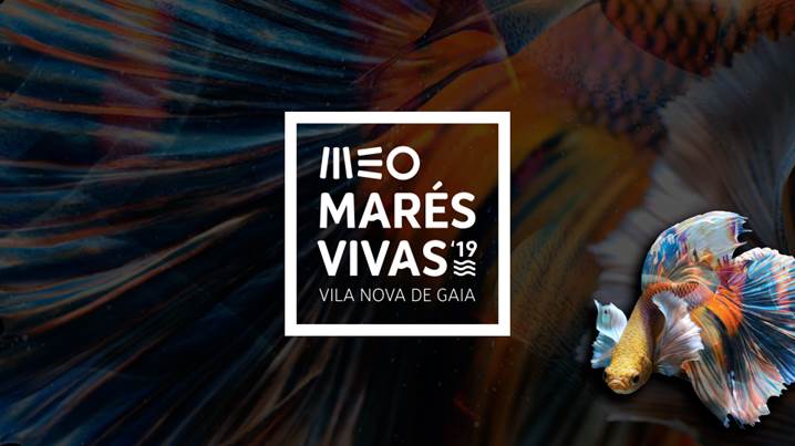 Meo Mares Vivas 2019 Saiba Que Concertos Do Festival Meo Marés Vivas A Rtp Transmite
