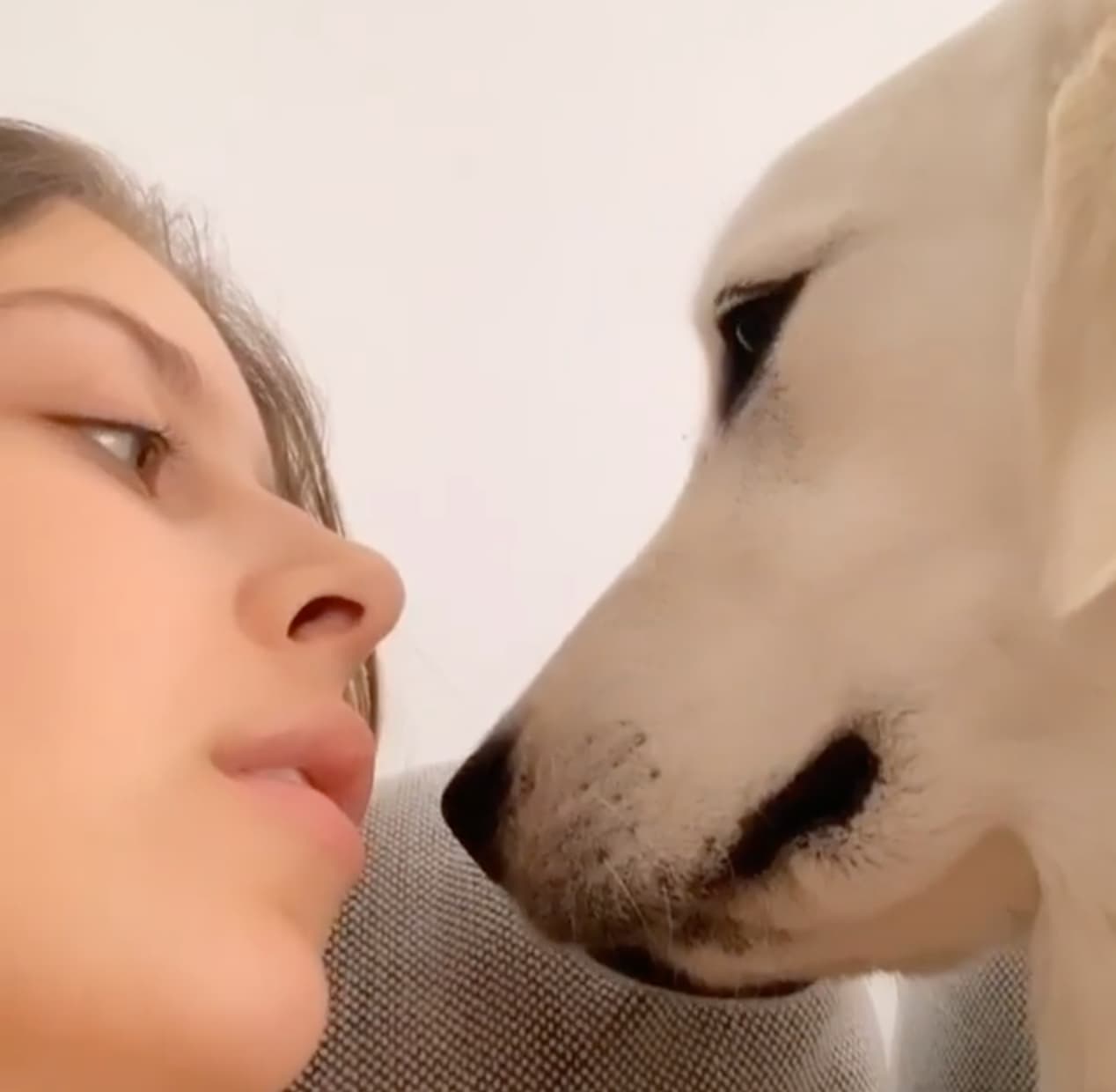 Sara Carreira Sara Carreira Partilha Vídeo Com O Seu Cão E É Alertada Por Fã