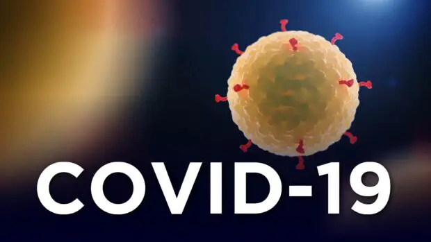 Covid-19, Pandemia