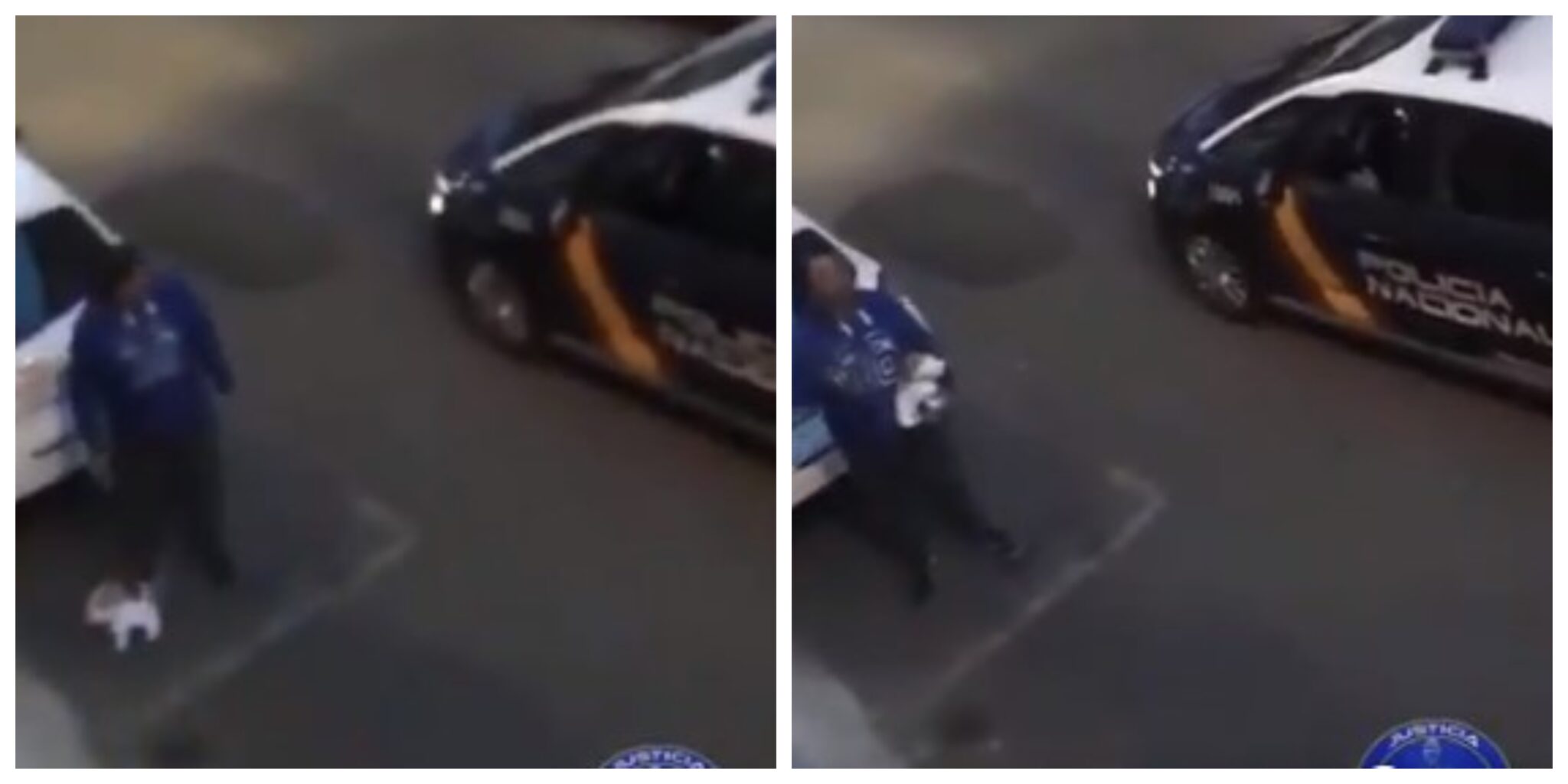 Passearcaopeluche Scaled Vídeo: Homem É Apanhado Pela Polícia Na Rua A Passear Cão De Peluche
