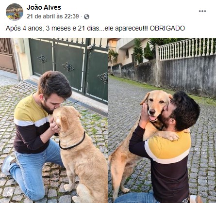 Joao Alves Jovem Reencontra Cão Quatro Anos Depois De Ter Desaparecido Em Santo Tirso