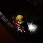 Bombeiros Resgate Cao 1 Bombeiros De Camarate Salvam Cão Que Caiu Numa Cave