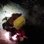 Bombeiros Resgate Cao 4 Bombeiros De Camarate Salvam Cão Que Caiu Numa Cave