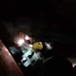 Bombeiros Resgate Cao 5 Bombeiros De Camarate Salvam Cão Que Caiu Numa Cave