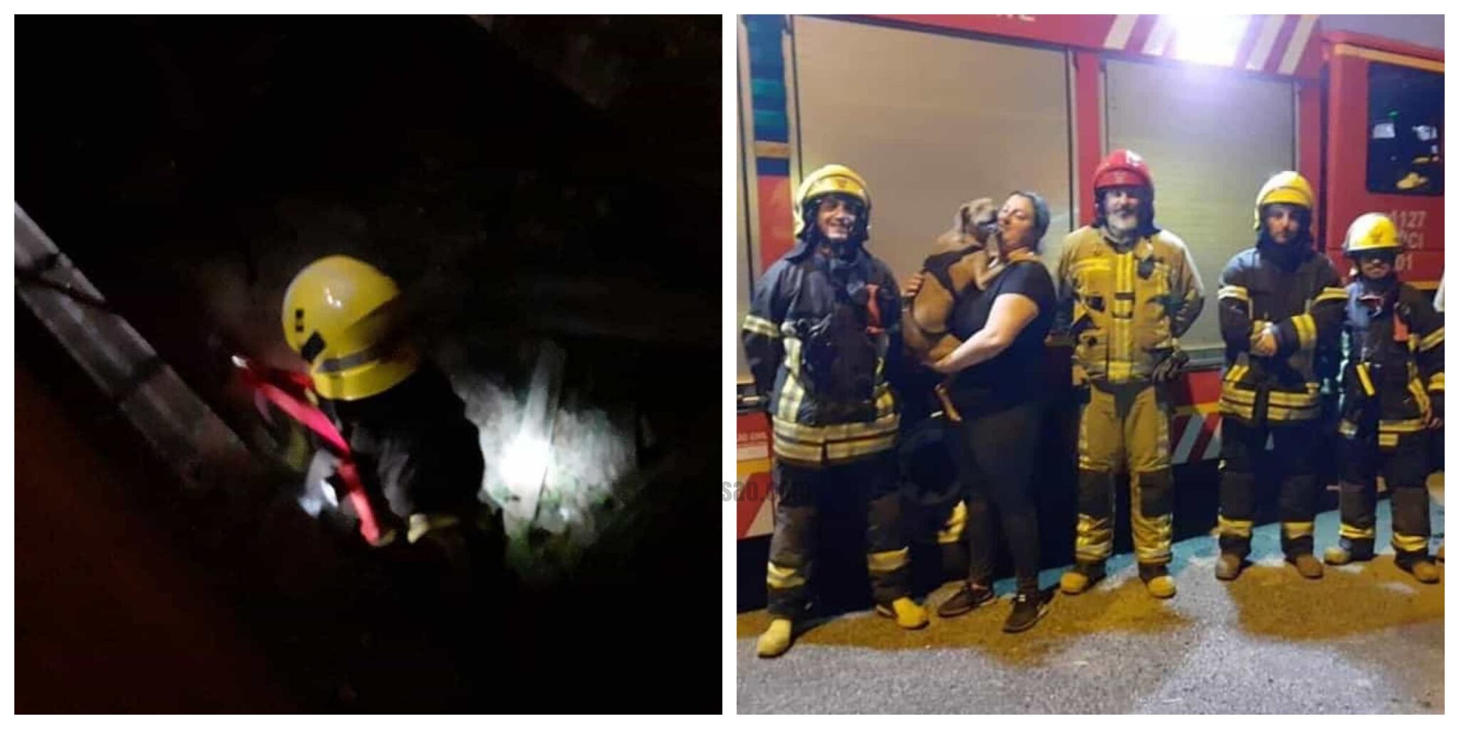 Cao Resgatado Bombeiros Scaled Bombeiros De Camarate Salvam Cão Que Caiu Numa Cave