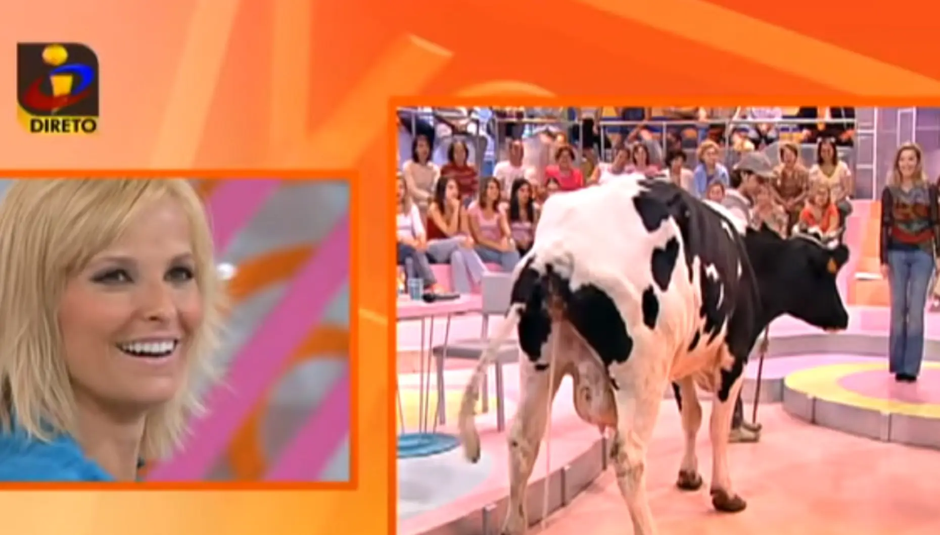 Cristina Ferreira, Vaca, Você Na Tv
