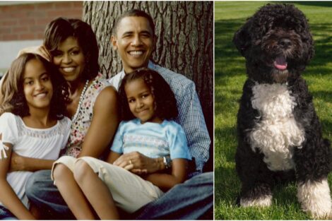 Barack Obama, Michelle Obama, Cão Água Português Bo