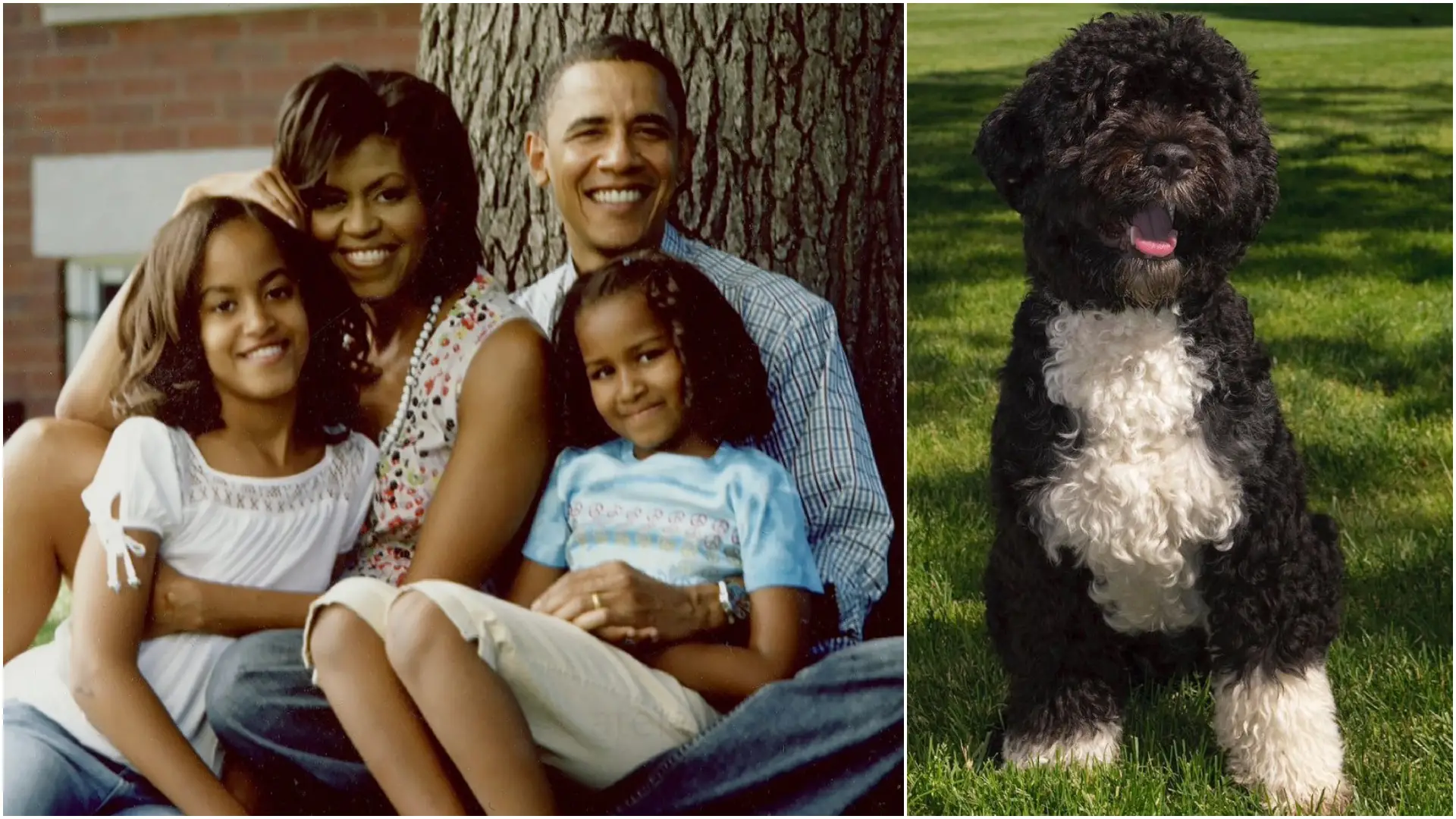Barack Obama, Michelle Obama, Cão Água Português Bo