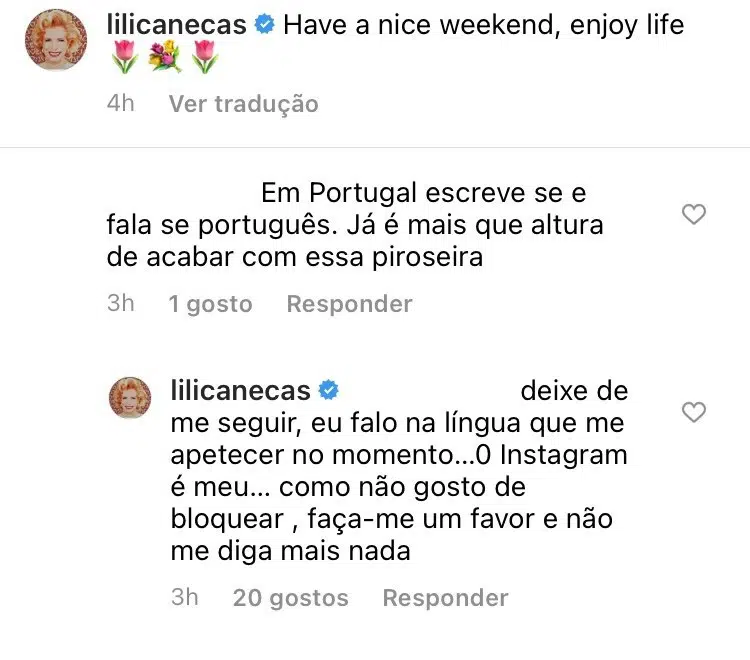 Lili Caneças, Internauta