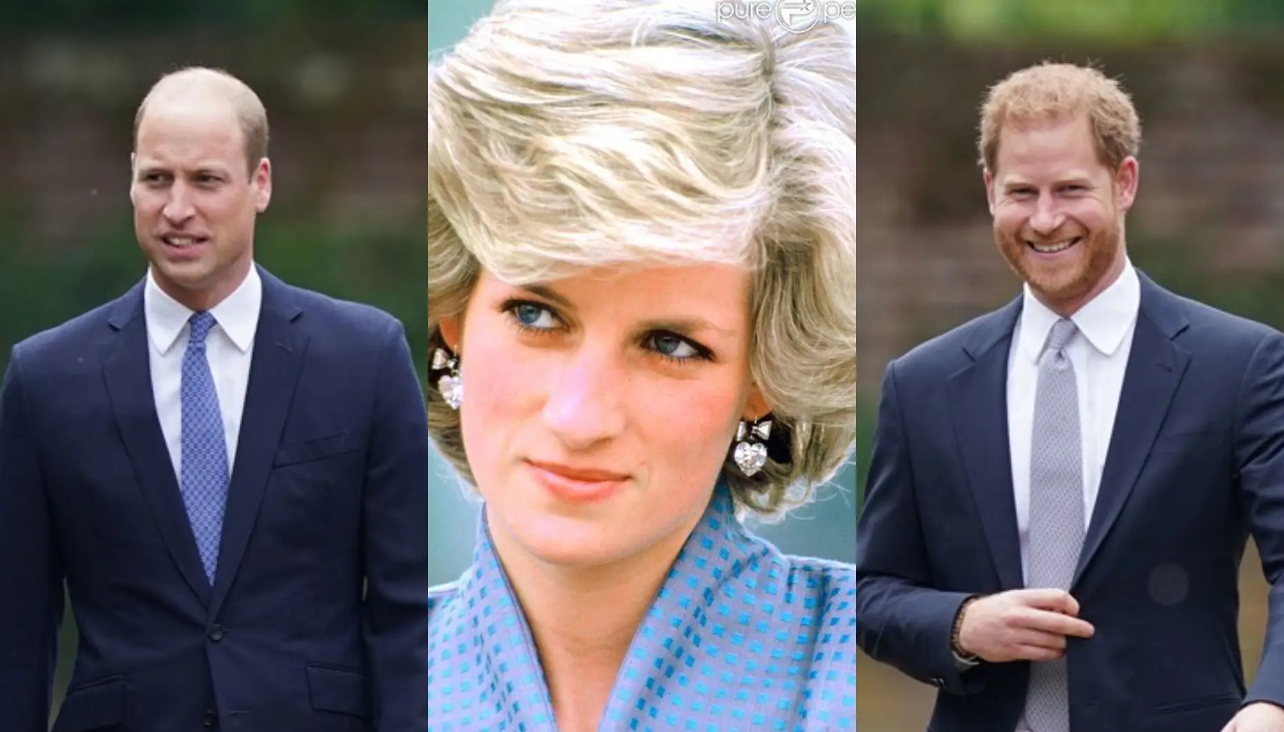 William, Harry, Princesa Diana