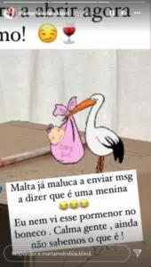 Marta-Melro-Instastory-Caixa-Reacao-Cegonha