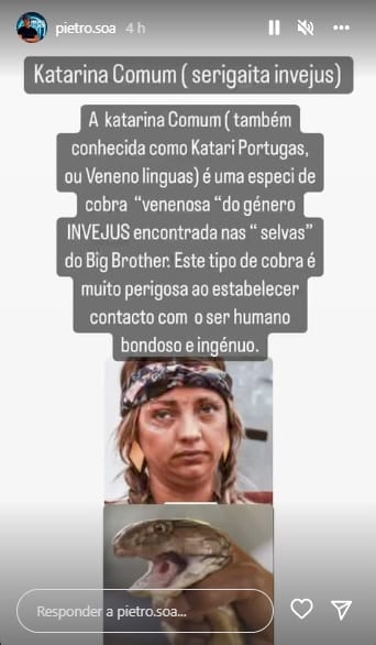 Pedro Soá, Catarina Siqueira, Big Brother