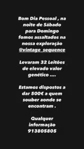 Lucas-Fernandes-Leitoes-Roubados-1