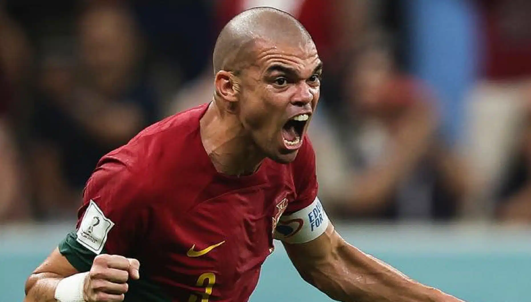 Pepe, Portugal, Seleção, Mundial