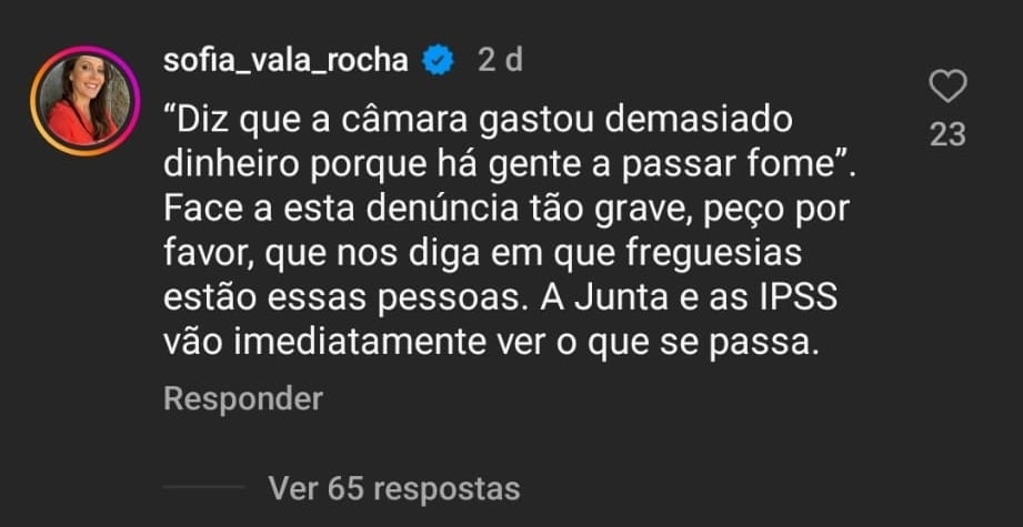 Comentário Sofia Vala Rocha