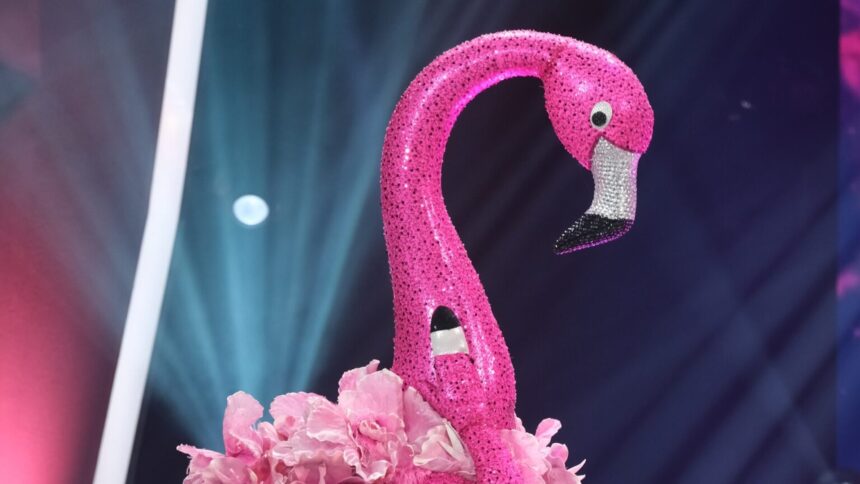 Flamingo, A Máscara