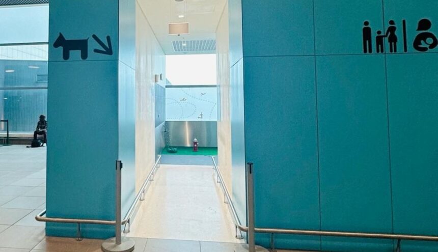 Casa de banho caes aeroporto de lisboa Aeroporto de Lisboa abre WC para cães: "Um espaço inovador e acolhedor para os animais..."